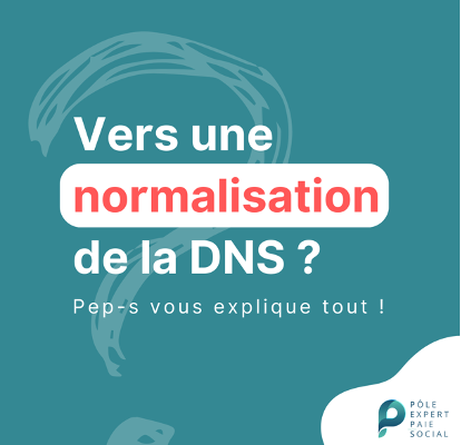 Normalisation de la DSN : La Déclaration Sociale Nominative