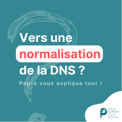 Texte blanc sur fond bleu au sujet de la normalisation de la DNS.